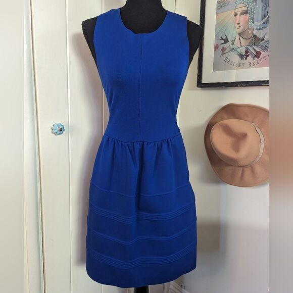 Madewell Cobalt Blue Dress Coastal Cowgirl Tenniscore Preppy Sailor Chic XS - Picture 3 of 9
